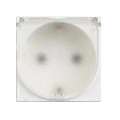 Единичен контакт шуко със защита и капак bticino Classia, 2 модула, бял