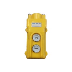 Бутониера Chint NP3-1, 2 бутона, 10A, 380V